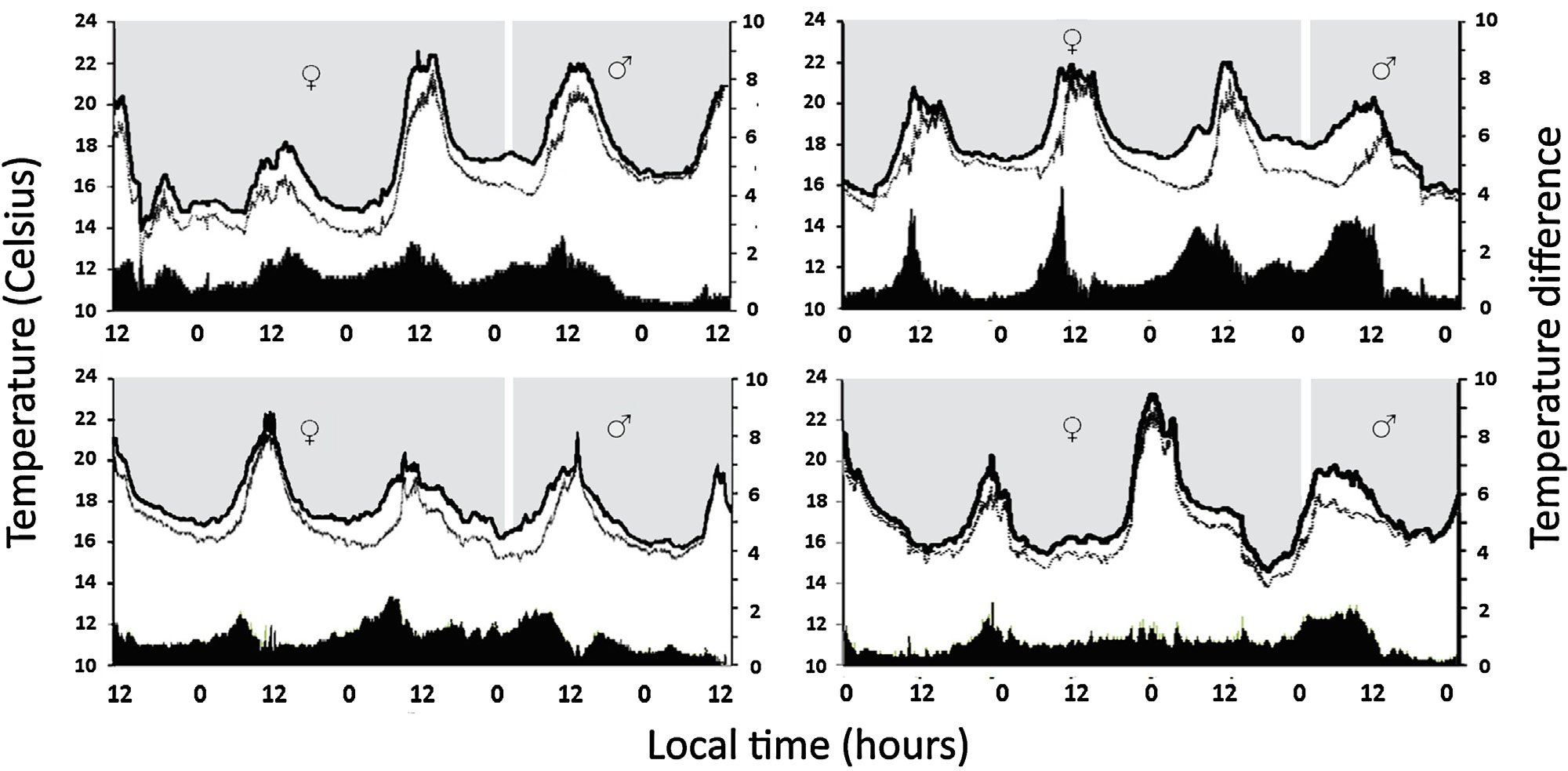 Four panels of chamber and ambient temperature traces for four Monstera lentii inflorescences, with the temperature difference shown in black along the bottom of each panel and female and male phases marked